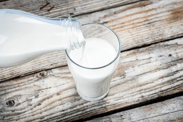  Smaken på olika korasers mjölk varierar. Mjölk från fjällko eller fjällnära kor är ofta lite fetare och lenare i konsistensen.