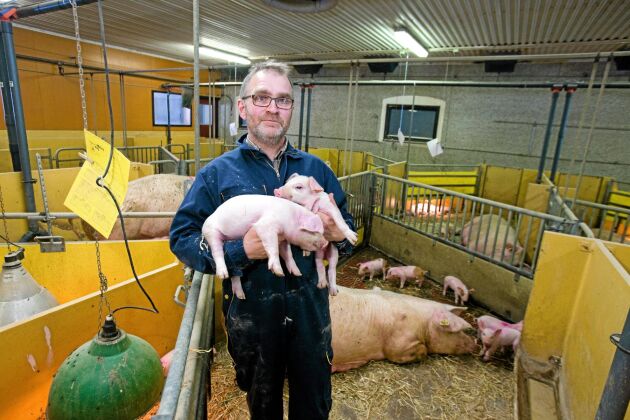  Peter Eriksson är en av de grisuppfödare som vill undersöka möjligheterna att starta ett producentägt marknadsbolag.