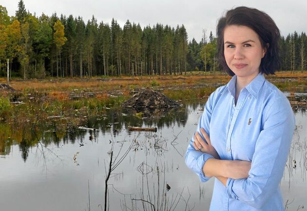  Det är lätt att vara överens om att våtmarker bör vara en del av svensk natur. Frågan är bara hur stor del, undrar Ester Hertegård.