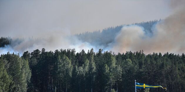 Ytterligare brandflyg kan komma till Sverige