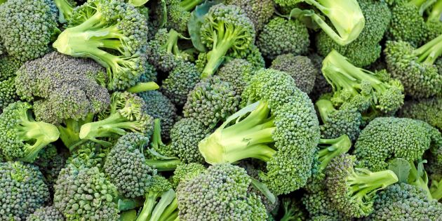 Ny svensk forskning: Broccoli motverkar diabetes