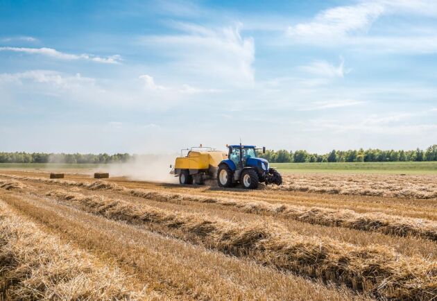  Svenskt lantbruk kan inte rädda världens klimat, skriver debattören.