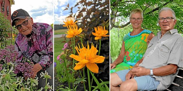 Öppen Trädgård 2018: Riktigt heta trädgårdar i Burträsk