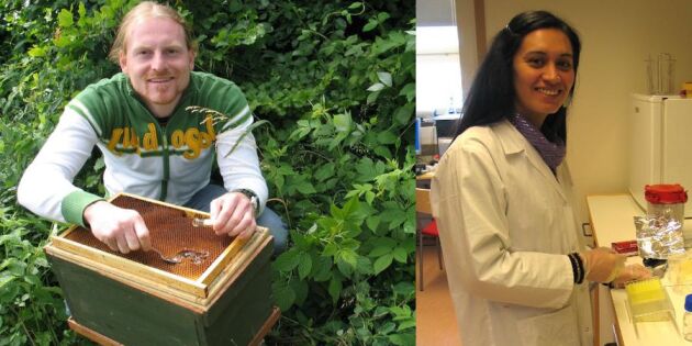 Svensk honungsforskning framtidens bakteriehopp