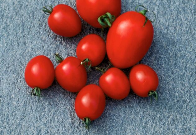  Satsning på svenska tomater är en av nyheterna i Icas fortsatta hållbarhetsarbete.