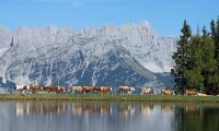 Österrikes bönder får 630 miljoner i krisstöd