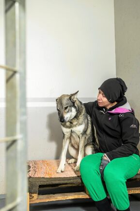  Syriska Fekra trivs att jobba med djur, som jämthunden Aiko, och har nu fått en fast anställning här.