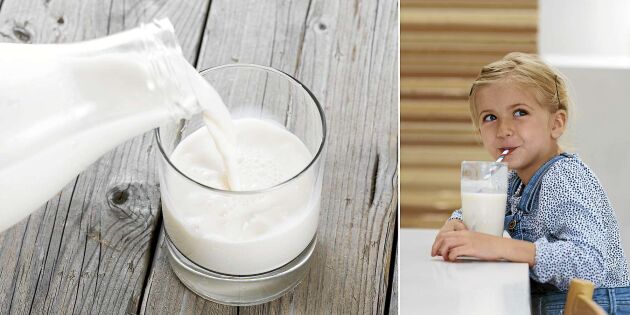 Mjölk - visste du det här om den älskade mjölken?