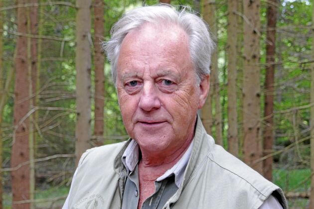  – Det är en avvägning mellan sök och plock och att ta ner alltihop, men eftersom den här skogen är mogen att avverka så tar vi ett helt hektar, säger skogsägaren Bengt Arvidsson.