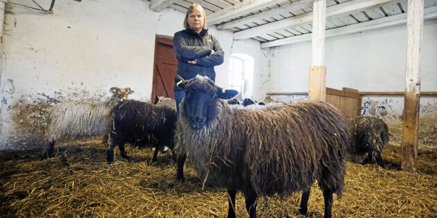 Blir utan krisstöd – har för få får
