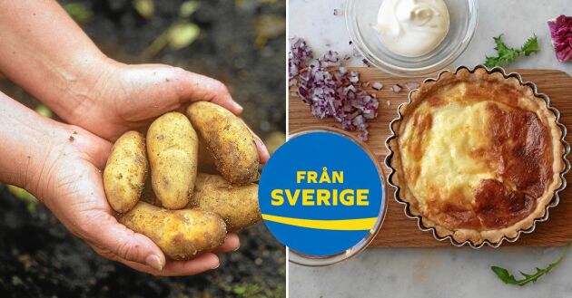  Västerbotten är en kulinarisk guldgruva! Här kryllar det av svenska råvaror som du inte hittar någon annanstans.