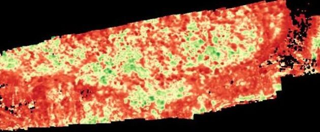  Bilden är tagen av en multispektral kamera. Den visar ett område där det röda är skadade träd medan de gröna är friska. De gula prickarna, träden, har nedsatt vitalitet till följd av torkstress. Den gula färgen indikerar därmed att träden är mer mottagliga för skador, till exempel granbarkborre.