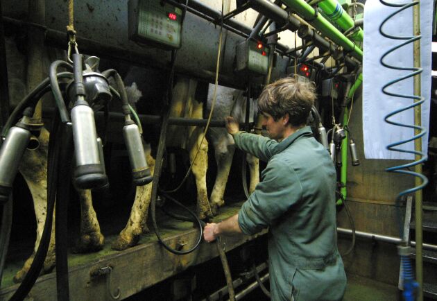  Den svenska livsmedelsproduktionen riskerar att bli helt utkonkurrerad på grudn av EUs gröna giv.