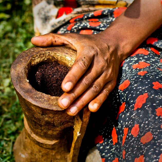  Etiopiens kaffeplantage bidrar med arbetstillfällen åt närmare 15 procent av landets befolkning.