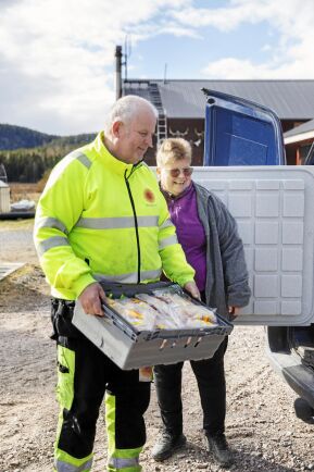  Leif Sundström arbetar i skogen. Hans roll i Matses mat är att vara ett stöd och att finnas till hands för sambon Elin Ericsson. Bilen packas med kycklingkött ett par gånger i veckan.