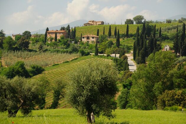 Toscana bjuder på ett landskap av böljande kullar, höga cypresser, imponerande pinjeträd och charmiga gamla gårdshus. 