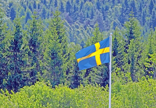  Vi upplever en allt mer polariserad och åsiktsstyrd skogsdebatt där den svenska skogsbruksmodellen ifrågasätts. 