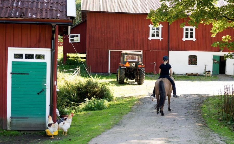 Land.se skriver om Hanna Ulfsbecker som köpte egen gård när hon var 21.