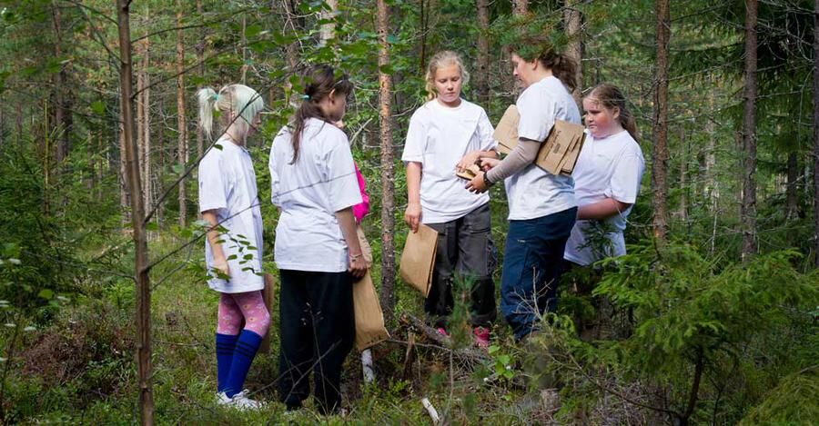Skogskollo har arrangerats i flera år för att få fler tjejer att söka sig till skogsbranschen. Foto: Rolf Segerstedt.