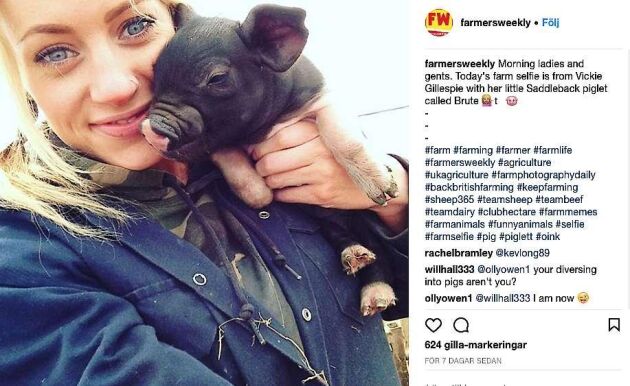  Vickie Gillespie skickade in en bild till Farmers Weekly på sig själv och griskultingen Brute. Här från Instagram.