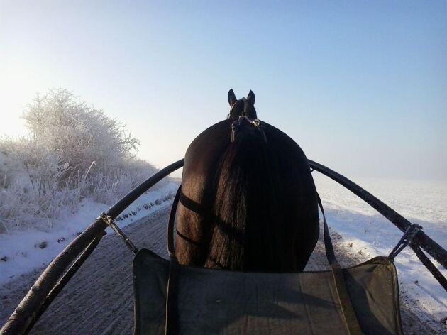  Från hästryggen kan man verkligen njuta av vintern enligt Anna Jansson, som bor i Vollsjö i Skåne!