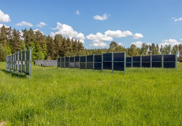  På Kärrbo prästgård utanför Västerås står solcellssystem med vertikala, dubbelsidiga moduler och vall skördas på vanligt sätt mellan raderna.