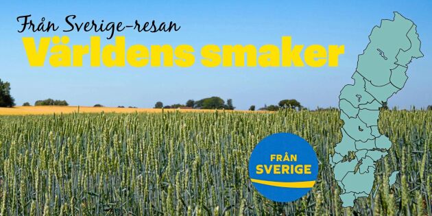 Från Sverige-resan: Släpp in världens smaker i köket
