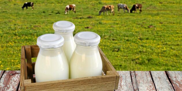 Nya trenden: Nu vill konsumenterna köpa ”finsmakarmjölk” direkt från bonden