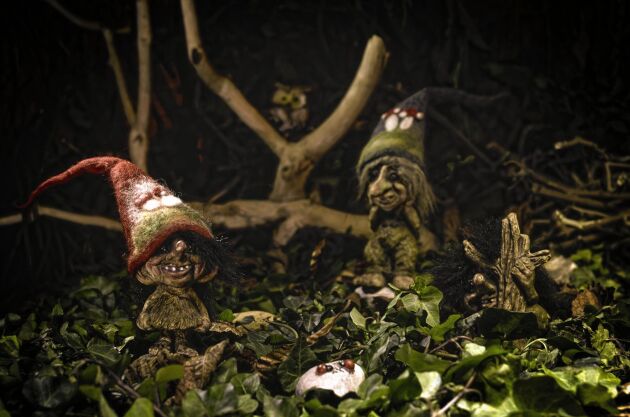  Elaka små troll gömmer sig i skogen! 