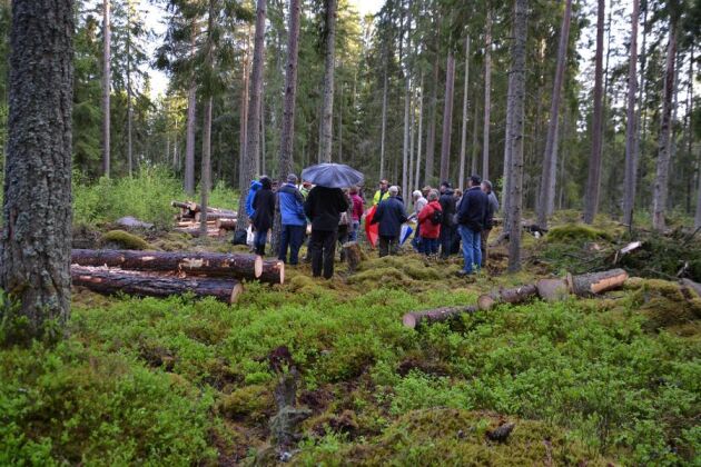 Skogskvällen utanför Målilla lockade 100 besökare. Samarbetet mellan Södra och Naturskyddsföreningen skapar dialog och minskar konflikterna.