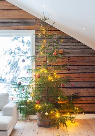  Julgranens färgglada kulor och pynt är fina mot den grova timmerväggen.