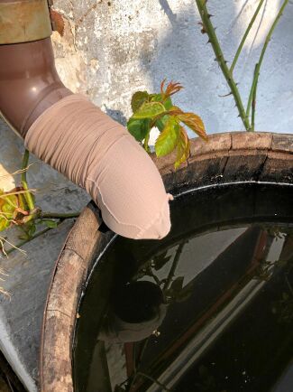  Att filtrera vattnet är plättlätt. Har du inget rensgaller på stupröret kan du trä på en nylonstrumpa. 