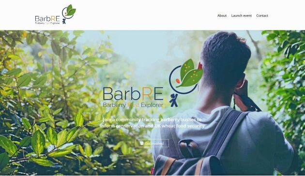  Projektet BarbRE hjälper forskare att hitta potentiellt farliga berberisbuskar.