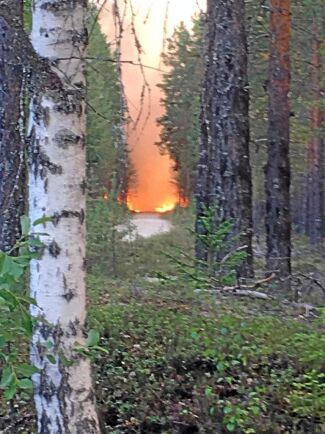  Branden spred sig snabbt i Björn Brinks skog. Han var själv nära att stryka med när elden tilltog. Foto: Björn Brink