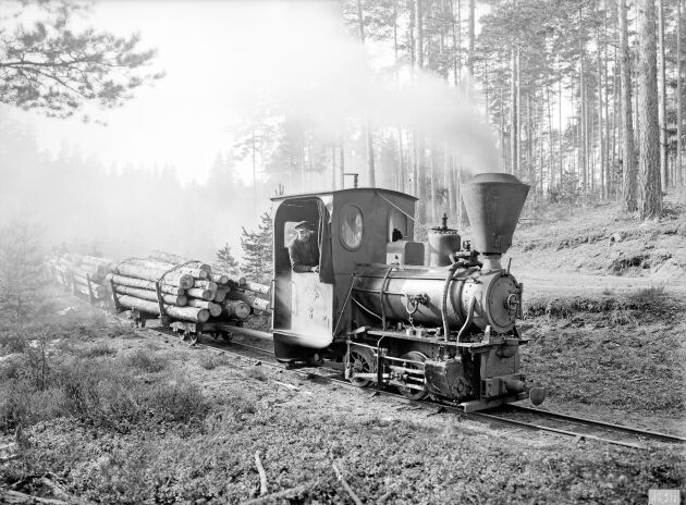  Timmertåget ”Sot-Sara” i arbetstagen. Bilden är tagen i höjd med Ålhult (1914). 