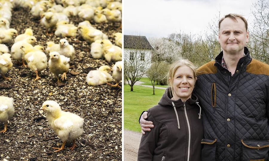 Lasse och Jenny Andersson har båda rötterna i myllan och driver nu tillsammans Jennys familjegård i Småland. 