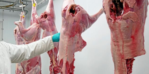 LRF: Nya regler för vildsvinskött tar för lång tid