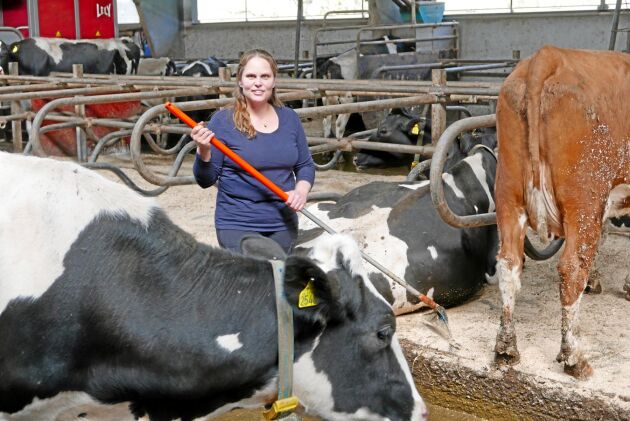  – Jag drivs av att göra det bättre och effektivare, säger Camilla Hilmersson som har huvudansvaret för korna. 