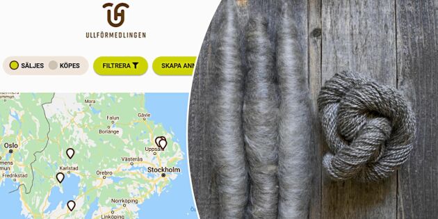 Nu öppnar ny digital marknadsplats för köp och sälj av svensk ull