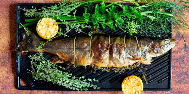 Helgrillad fisk – tips och råd från Lands bloggare