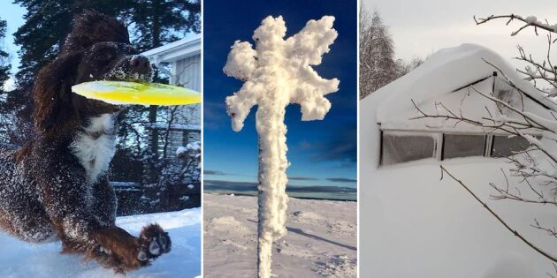 Snöfallet har varit enormt – läsarnas bästa bilder