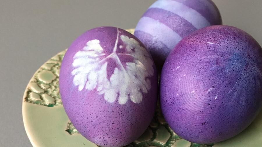 Färga äggen med blåbär.